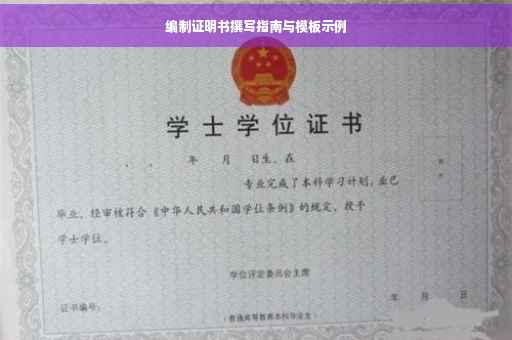 编制证明书撰写指南与模板示例