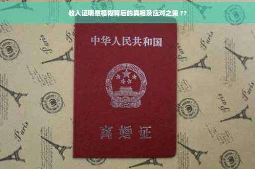 收入证明章模糊背后的真相及应对之策 ??