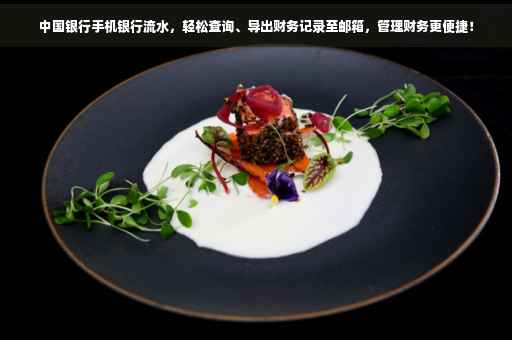 中国银行手机银行流水，轻松查询、导出财务记录至邮箱，管理财务更便捷！