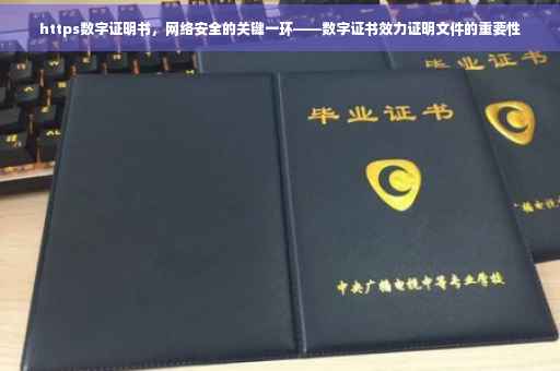 https数字证明书，网络安全的关键一环——数字证书效力证明文件的重要性