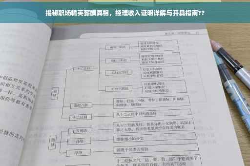 揭秘职场精英薪酬真相，经理收入证明详解与开具指南??