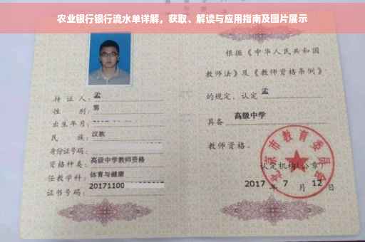 农业银行银行流水单详解，获取、解读与应用指南及图片展示