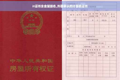it证书含金量排名,外国承认的计算机证书