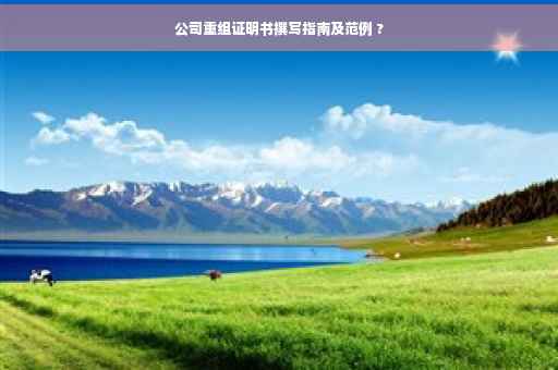 公司重组证明书撰写指南及范例 ?