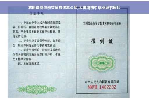 农田遭受洪涝灾害应该怎么写,大洋湾初中毕业证书图片