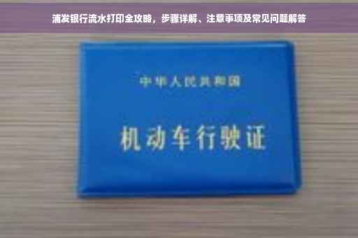 浦发银行流水打印全攻略，步骤详解、注意事项及常见问题解答