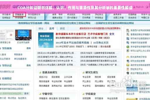 COA分析证明书详解，认识、作用与重要性及其分析单的重要性解读