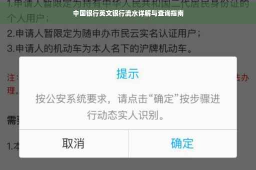 中国银行英文银行流水详解与查询指南