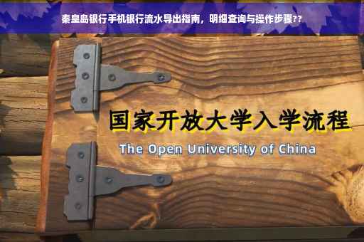 秦皇岛银行手机银行流水导出指南，明细查询与操作步骤??
