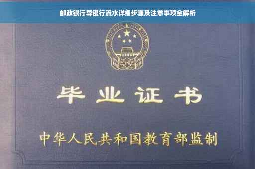 邮政银行导银行流水详细步骤及注意事项全解析