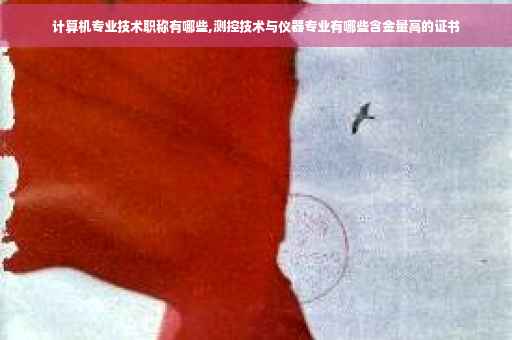 计算机专业技术职称有哪些,测控技术与仪器专业有哪些含金量高的证书
