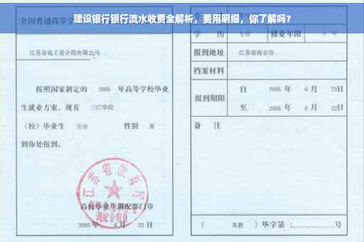 建设银行银行流水收费全解析，费用明细，你了解吗？