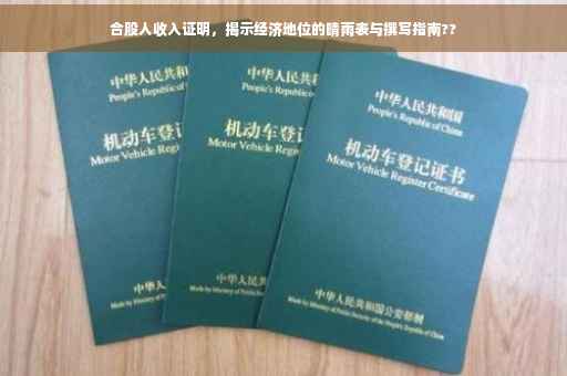 合股人收入证明，揭示经济地位的晴雨表与撰写指南??