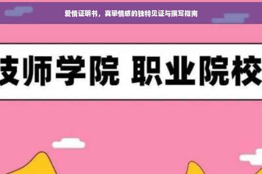 爱情证明书，真挚情感的独特见证与撰写指南