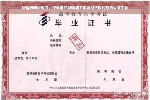 疫情救助证明书，逆境中的温暖与力量展现抗疫时刻的人文关怀