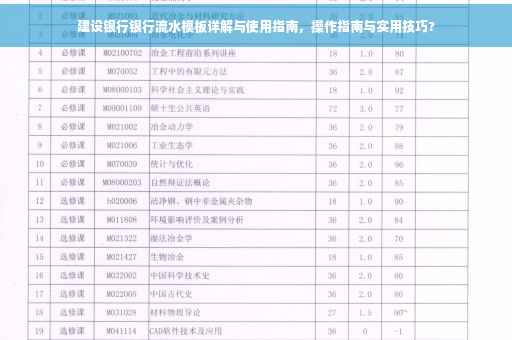 建设银行银行流水模板详解与使用指南，操作指南与实用技巧?