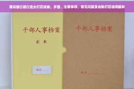 建设银行银行流水打印攻略，步骤、注意事项、常见问题及自助打印选项解析