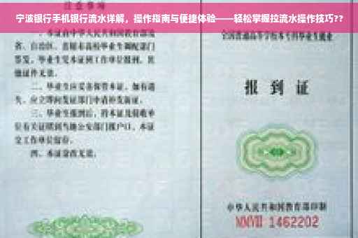 宁波银行手机银行流水详解，操作指南与便捷体验——轻松掌握拉流水操作技巧??