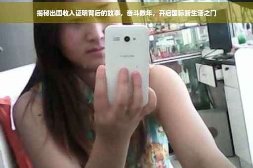 揭秘出国收入证明背后的故事，奋斗数年，开启国际新生活之门