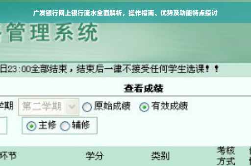广发银行网上银行流水全面解析，操作指南、优势及功能特点探讨