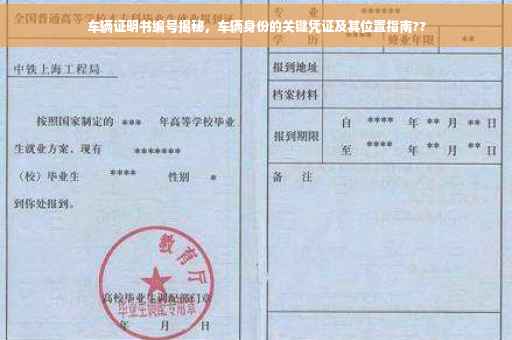 车辆证明书编号揭秘，车辆身份的关键凭证及其位置指南??