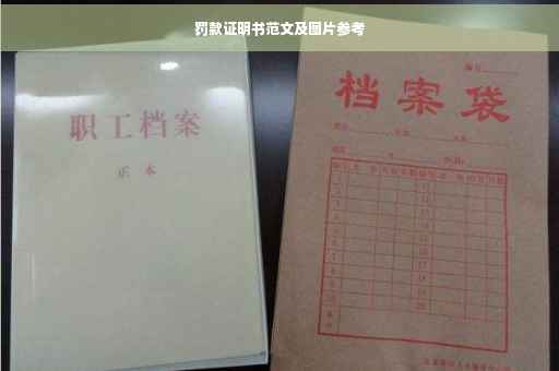 罚款证明书范文及图片参考