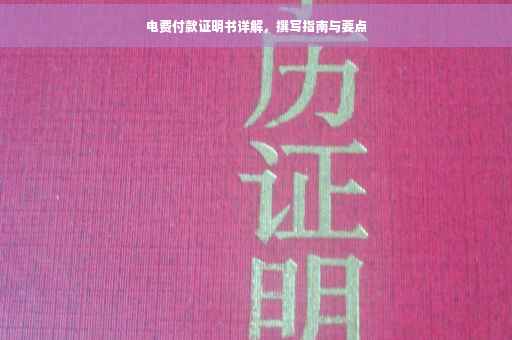 电费付款证明书详解，撰写指南与要点
