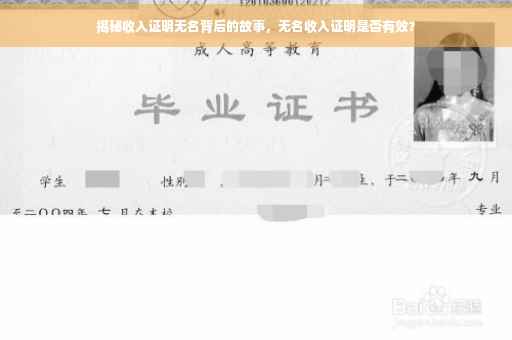 揭秘收入证明无名背后的故事，无名收入证明是否有效？