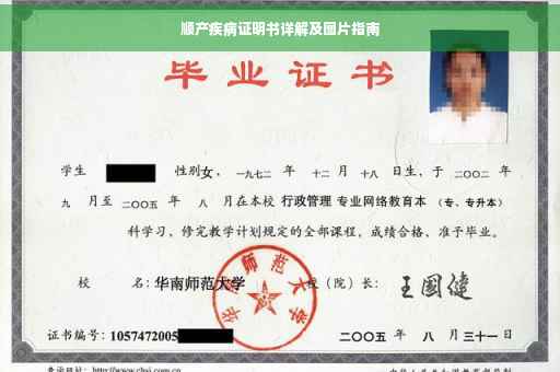 顺产疾病证明书详解及图片指南