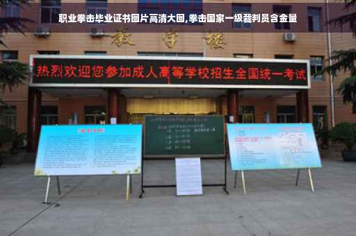 职业拳击毕业证书图片高清大图,拳击国家一级裁判员含金量