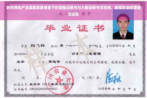 农村绿色产业蓬勃发展背景下的菜棚证明书与大棚证明书写指南，新型农业经营模式探索