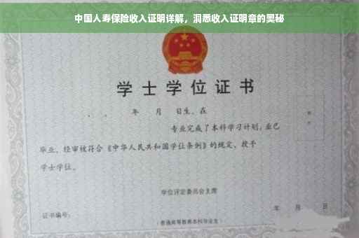 中国人寿保险收入证明详解，洞悉收入证明章的奥秘