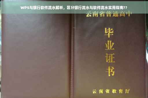 WPS与银行软件流水解析，区分银行流水与软件流水实用指南??