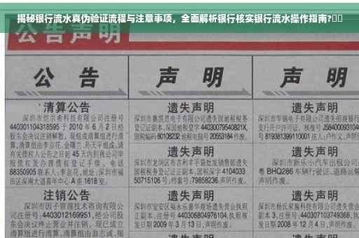 揭秘银行流水真伪验证流程与注意事项，全面解析银行核实银行流水操作指南?⚡️