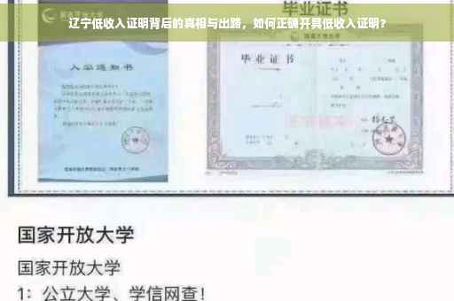 辽宁低收入证明背后的真相与出路，如何正确开具低收入证明？