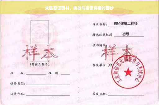 未破案证明书，挑战与探索真相的面纱