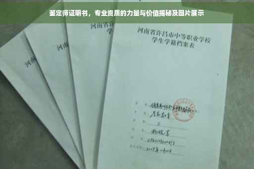 鉴定师证明书，专业资质的力量与价值揭秘及图片展示
