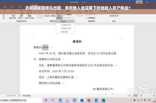 农村发展困境与出路，务农收入低证明下的低收入农户挑战?