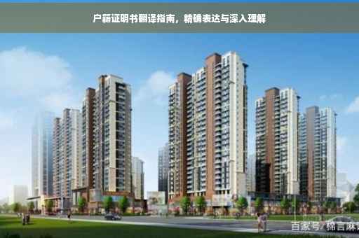 户籍证明书翻译指南，精确表达与深入理解