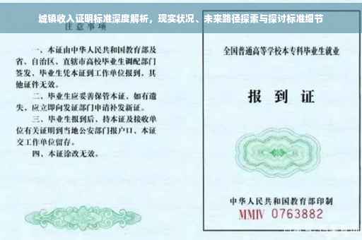 城镇收入证明标准深度解析，现实状况、未来路径探索与探讨标准细节
