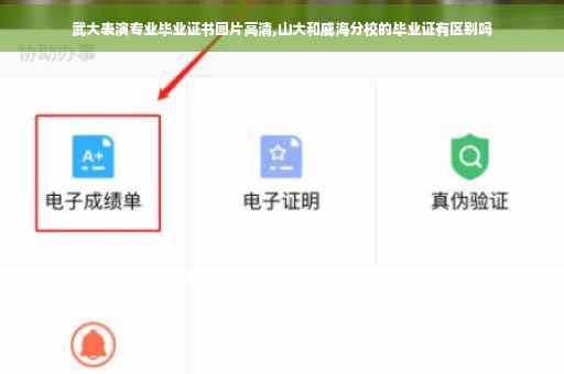 武大表演专业毕业证书图片高清,山大和威海分校的毕业证有区别吗