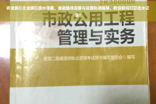 农业银行企业银行流水详解，金融脉络洞察与运营轨迹揭秘，教你如何打印流水记录！