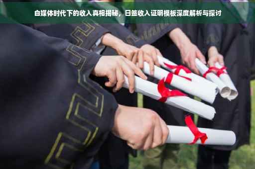 自媒体时代下的收入真相揭秘，日签收入证明模板深度解析与探讨