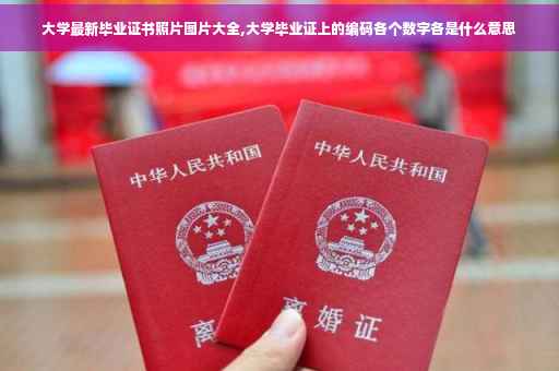 大学最新毕业证书照片图片大全,大学毕业证上的编码各个数字各是什么意思