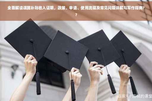 全面解读遗属补贴收入证明，政策、申请、使用流程及常见问题详解与写作指南??
