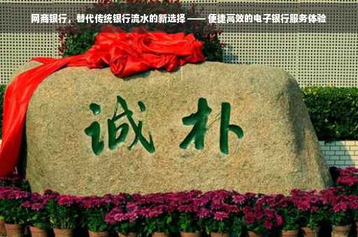 网商银行，替代传统银行流水的新选择 —— 便捷高效的电子银行服务体验