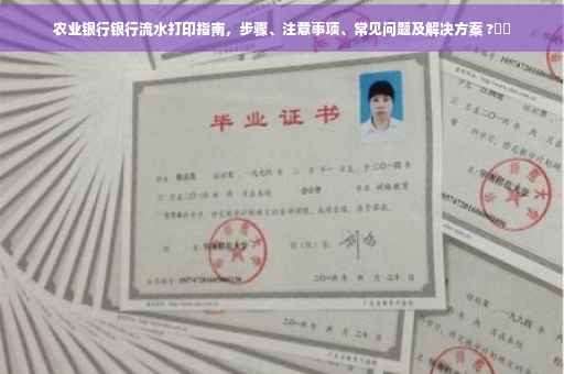 农业银行银行流水打印指南，步骤、注意事项、常见问题及解决方案 ?⚡️