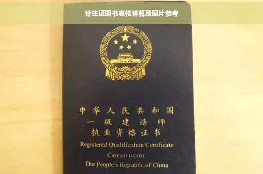 计生证明书表格详解及图片参考