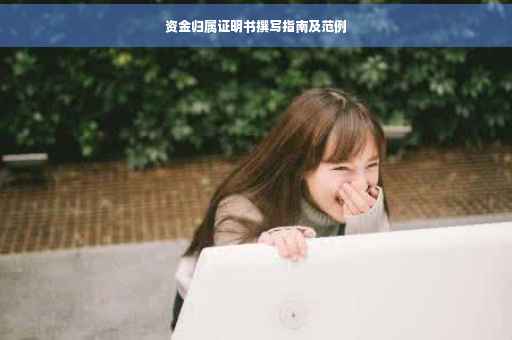 资金归属证明书撰写指南及范例
