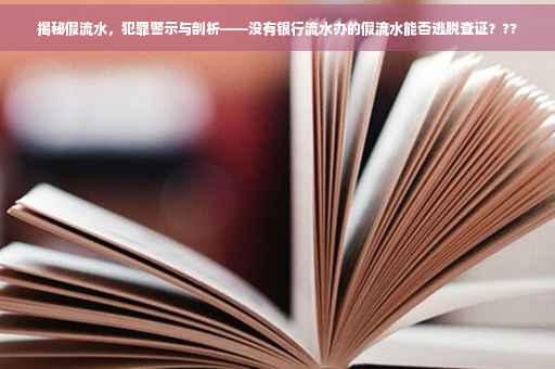 揭秘假流水，犯罪警示与剖析——没有银行流水办的假流水能否逃脱查证？??